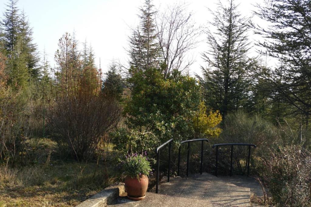 Villa La Lurette, Appartement Et Studio Saint-Etienne-les-Orgues Luaran gambar