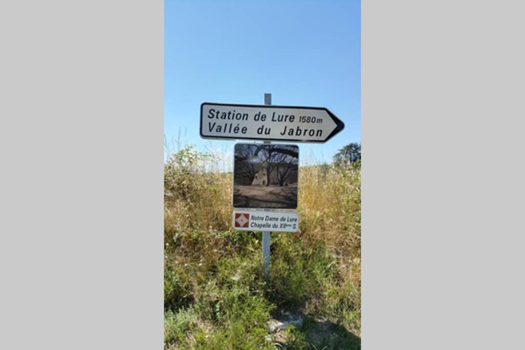 Villa La Lurette, Appartement Et Studio Saint-Etienne-les-Orgues Luaran gambar